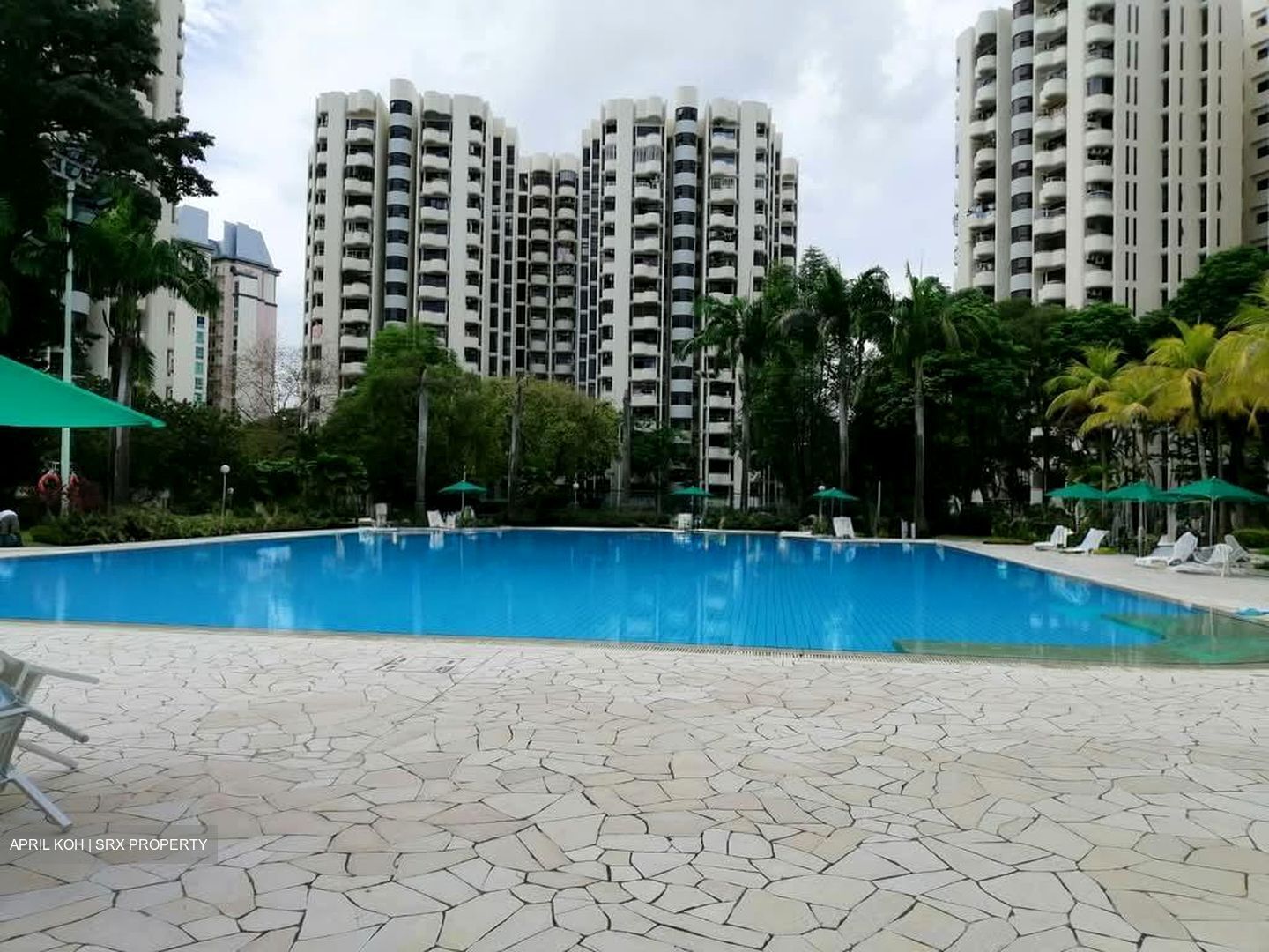 Cashew Heights Condominium (D23), Condominium #562579661